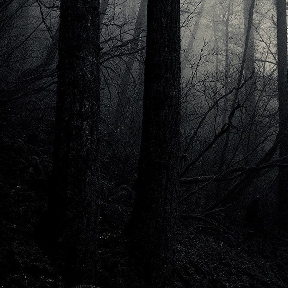 Meet your Posher, Christiana